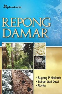 Image of Repong Damar