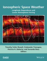 Image of Ionospheric Space Weather: Longitude Dependence and Lower Atmosphere Forcing
