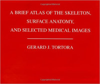 Image of A brief Atlas of the Skeleton, Surface Anatomy, and selected Medikal Images
