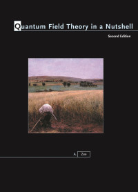 Image of Quantum Field Theory in a Nutshell second edition