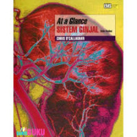 Image of At a Glance Obstetri Sistem Ginjal : Edisi Kedua