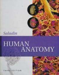 Image of Human Anatomy