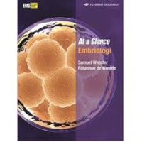 Image of At a Glance Embriologi