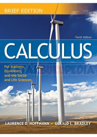 Image of Calculus : For Business, Economics, and the Social, And Life Sciences