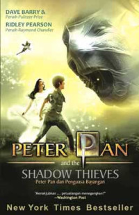 Image of Peter Pan and the Shadow Thieves